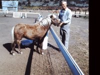 Grandpa Coop Feed a horse